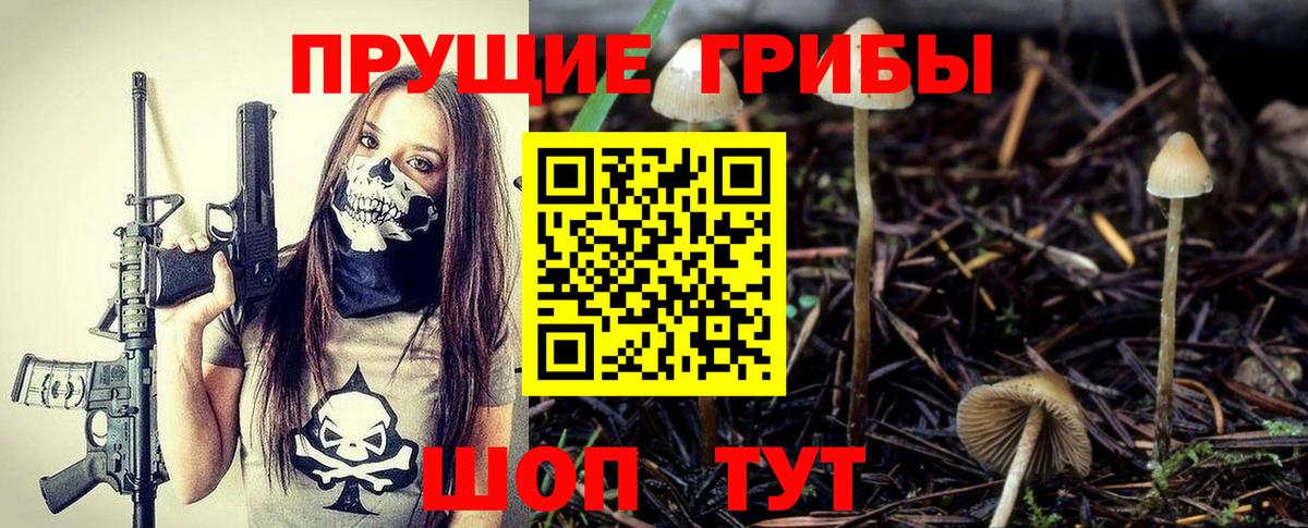 Галлюциногенные грибы MAGIC MUSHROOMS Коммунар
