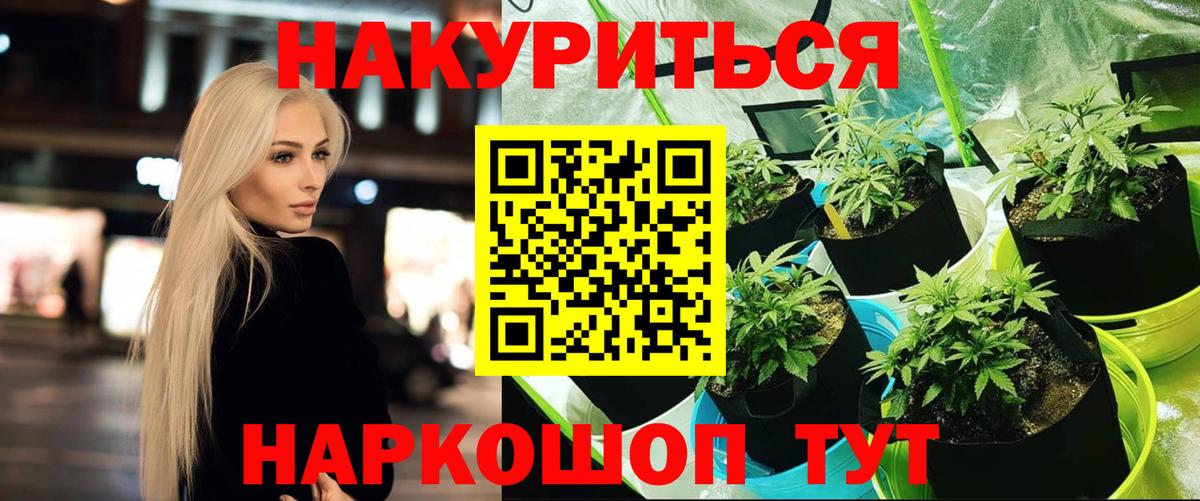 Канабис SATIVA & INDICA Коммунар